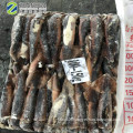 illex squid 2019  new arrival  illex  squid 100 -150 g